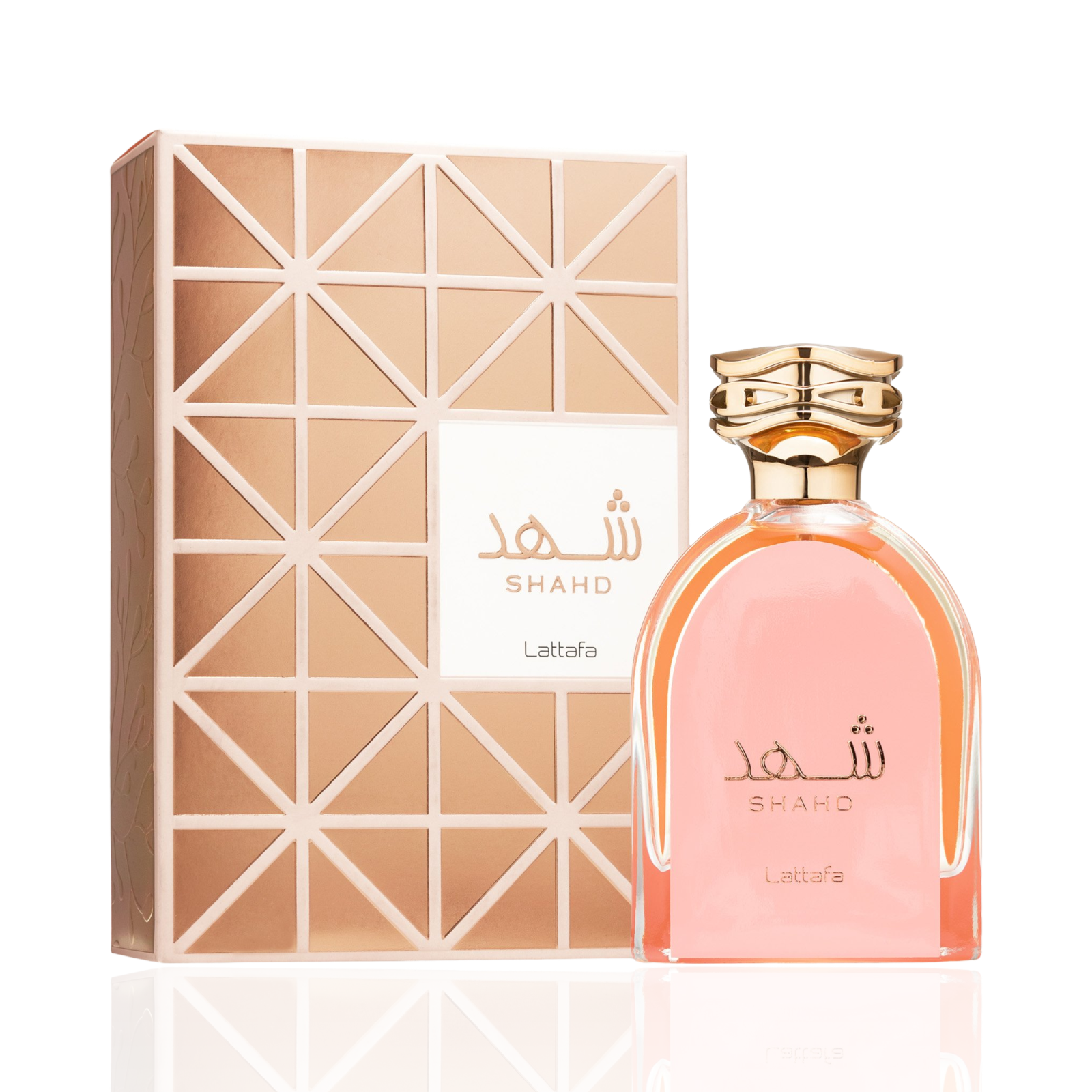 Shahd Lattafa - Image 2